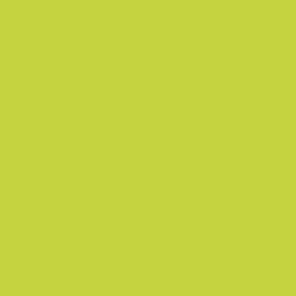Artists Metallic Acrylic Paint - Lime Sherbet (20ml)