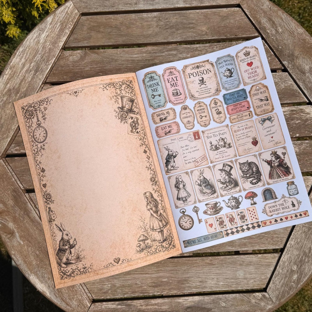 Curiosities from Wonderland Paper Book - A4