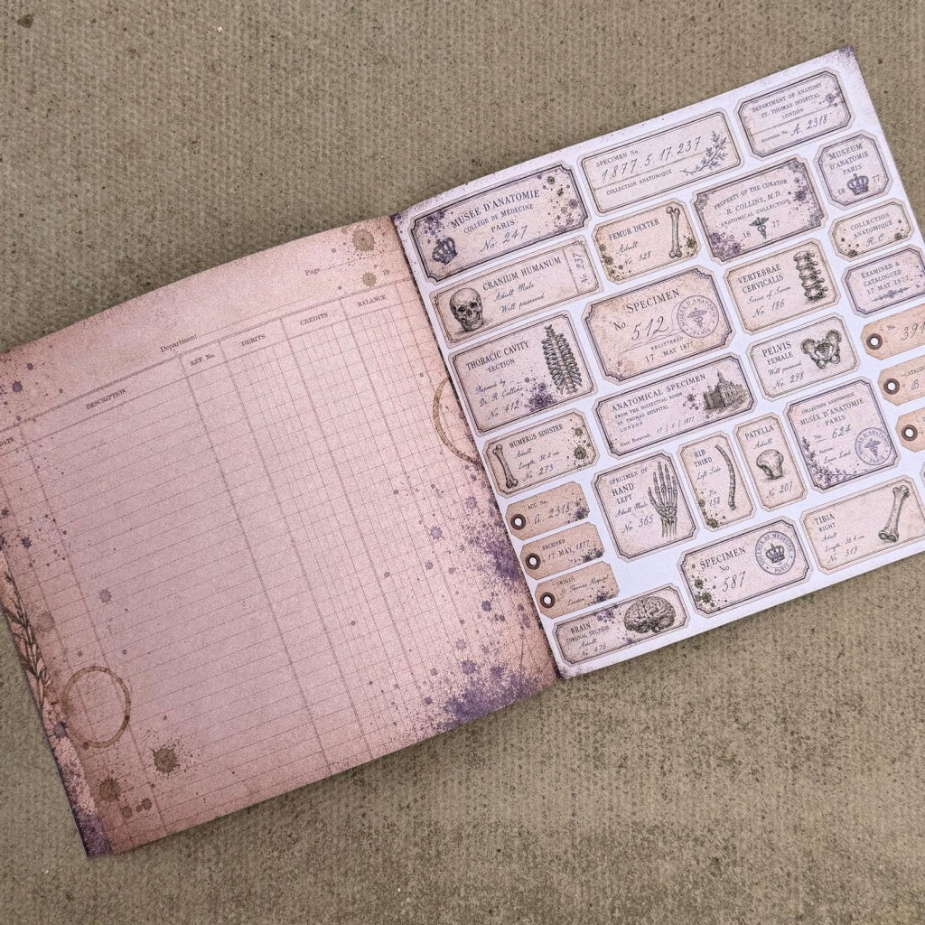 The Anatomist's Cabinet Paper Book - 8" x 8"