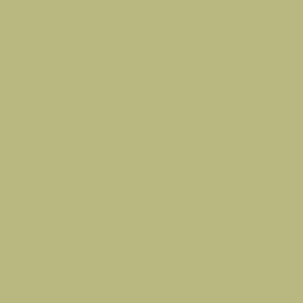 Artists Matte Acrylic Paint - Pistachio (20ml)