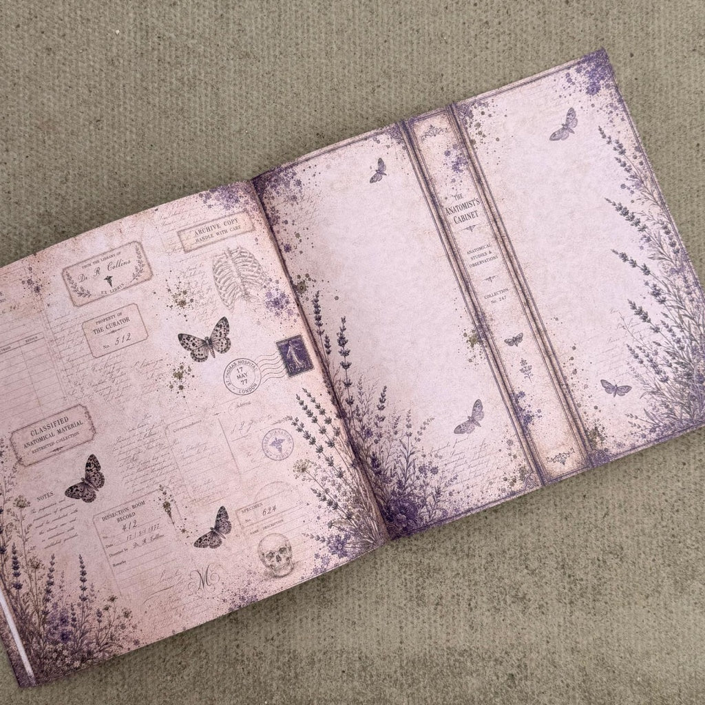 The Anatomist's Cabinet Paper Book - 8" x 8"